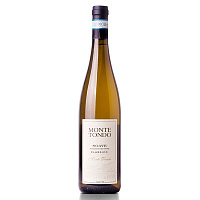 Вино Белое Сухое Monte Tondo Soave Classico 2022 0,75 л фото