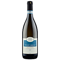 Вино Белое Полусухое Terra Vizina Pinot Grigio delle Venezie 2020 0,75 л фото
