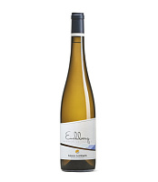 Вино Белое Сухое Klaus Lentsch Eichberg Gruner Veltliner Alto Adige 2022 0,75 л фото