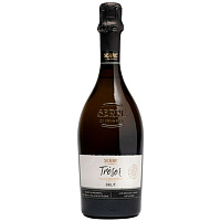 Вино игристое Белое Брют Serre di Pederiva Treser Valdobbiadene Brut 0,75 л фото