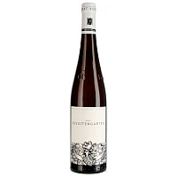 Вино Белое Сухое Von Buhl Forster Jesuitengarten Riesling GG Pfalz 2015 0,75 л фото