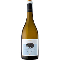 Вино Белое Сухое Finca Valdelagunde Sauvignon Blanc Castilla y Leon 2023 0,75 л фото