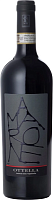 Вино Красное Полусухое Ottella Amarone della Valpolicella 2018 0,75 л фото