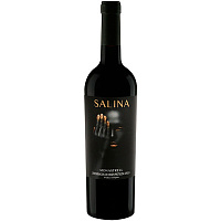 Вино Красное Сухое Salina Monastrel Jumilla 2021 0,75 л фото