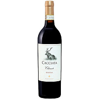 Вино Красное Сухое Castellani Cacciata Chianti Riserva 2019 0,75 л фото