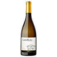Вино Белое Полусухое Castelfeder 15 Pinot Grigio Alto Adige 2021 0,75 л фото