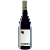 Вино Красное Сухое Weingut R&A Pfaffl Austrian Blackberry Niederosterreich 2022 0,75 л фото