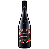 Вино Красное Полусухое Vallone Appassimento Special Selection Salento 2019 0,75 л фото