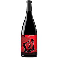 Вино Красное Сухое Fermento Siciliano Etna Rosso 2023 0,75 л фото