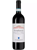 Вино Красное Сухое Illuminati Riparosso Montepulciano d'Abruzzo 2023 0,75 л фото