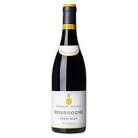 Вино Красное Сухое Doudet Naudin Pinot Noir Bourgogne 2021 0,75 л фото