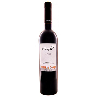 Вино Красное Сухое Rotllan Torra Amadis Priorat 0,75 л фото