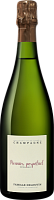 Вино игристое Белое Брют Famille Delouvin Meunier Perpetuel Extra Brut Champagne 0,75 л фото