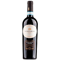 Вино Красное Полусухое Biscardo Valpolicella Ripasso Classico Superiore 2021 0,75 л фото