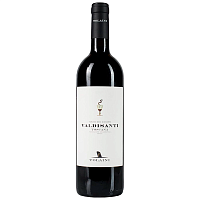Вино Красное Сухое Tolaini Valdisanti Tenuta S. Giovanni Toscana 2019 0,75 л фото