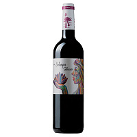 Вино Красное Сухое Delampa Seleccion Jumilla 2021 0,75 л фото