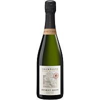 Вино игристое Белое Экстра Брют Henriet-Bazin Blanc de Noirs Grand Cru Champagne 2021 0,75 л фото