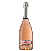 Вино игристое Розовое Брют Villa Doral Prosecco Rose Brut 2020 0,75 л фото