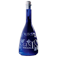 Джин Bepi Tosolini Gin T 0,7 л фото