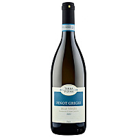 Вино Белое Полусухое Terra Vizina Pinot Grigio delle Venezie 2022 0,75 л фото