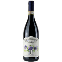 Вино Красное Сухое Poggio del Moro Nu Chianti 2020 0,75 л фото