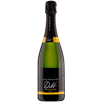 Вино игристое Белое Брют Delot Blanc de Noirs Brut Champagne 0,75 л фото