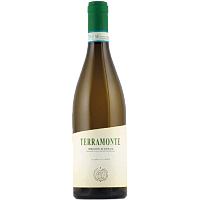 Вино Белое Сухое Terramonte Verdicchio di Matelica 2024 0,75 л фото