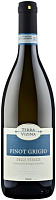 Вино Белое Сухое Terra Vizina Pinot Grigio delle Venezie 2024 0,75 л фото