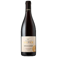 Вино Красное Сухое Domaine de la Bastide Cotes du Rhone Rouge 2020 0,75 л фото