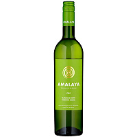 Вино Белое Сухое Amalaya Blanco Valle Calchaqui 2022 0,75 л фото
