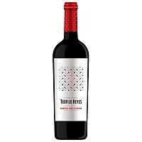 Вино Красное Сухое Teofilo Reyes Ribera del Duero 2021 0,75 л фото